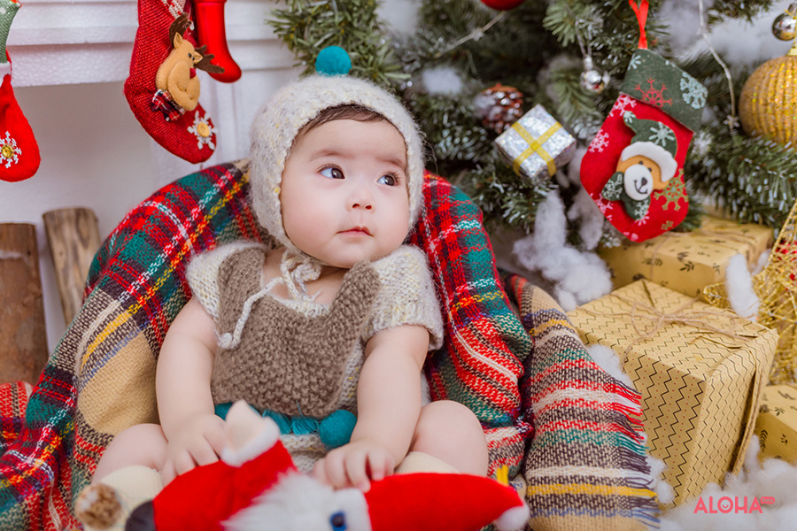 album ảnh giáng sinh đẹp lung linh